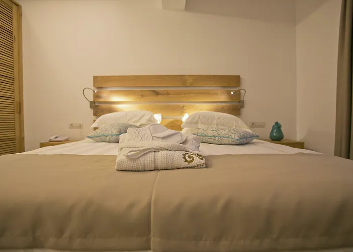 酒店 Thalassa Boutique - - Adults Only 普拉迪斯亚罗斯