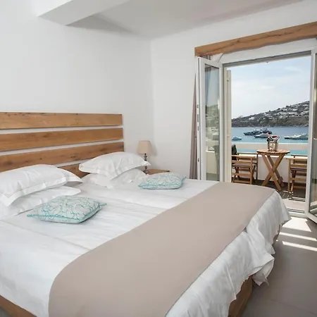 酒店 Thalassa Boutique Hotel-adults Only 普拉迪斯亚罗斯