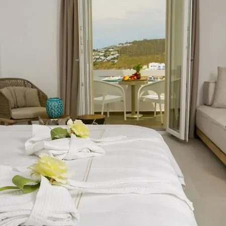 酒店 Thalassa Boutique Hotel-adults Only 普拉迪斯亚罗斯