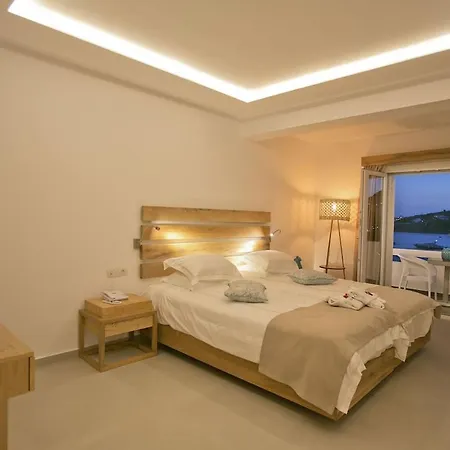 Thalassa Boutique Hotel-adults Only 5* 普拉迪斯亚罗斯