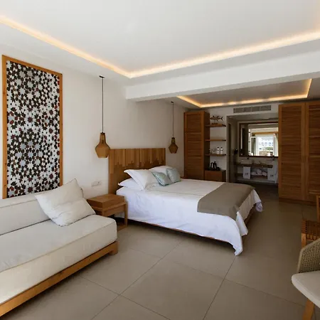 Thalassa Boutique Hotel-adults Only 5* 普拉迪斯亚罗斯